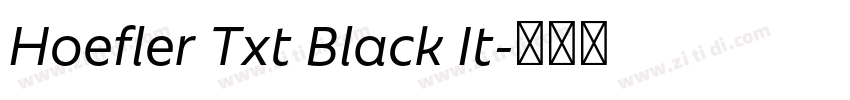 Hoefler Txt Black It字体转换
